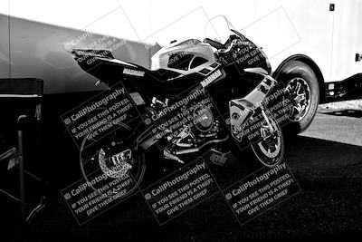 media/Mar-25-2024-Moto Forza (Mon) [[8d4319bd68]]/1-Around the Pits/